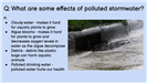 What are some effects of polluted stormwater?